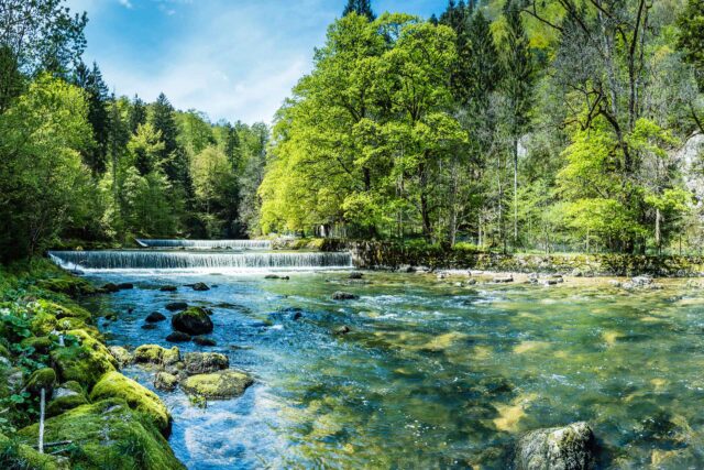 Wunderschöne Naturlandschaft mit einem ruhig fließenden Bach und schönen grünen Bäumen an einem Sommertag