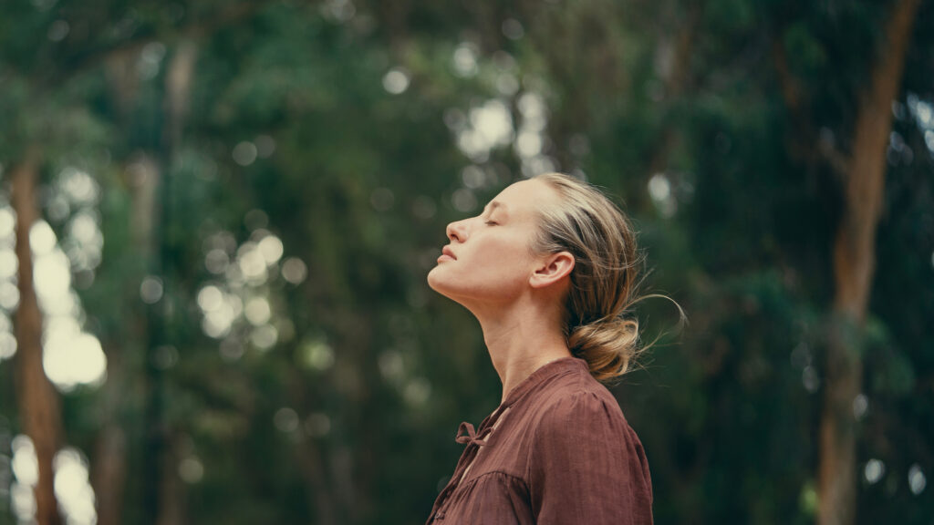AdobeStock_1471840180-1