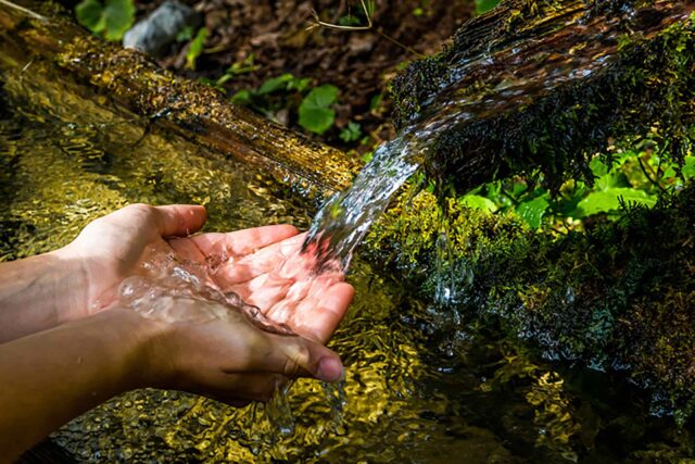 Hände schöpfen klares Wasser aus einem natürlichen Bachlauf im Wald.