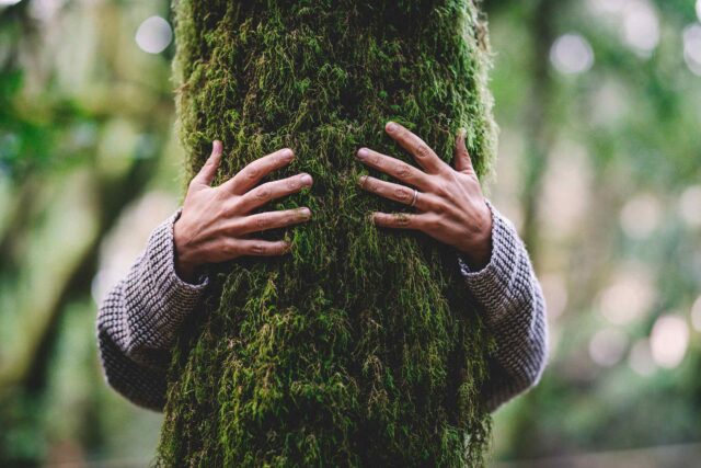 Natur spürbar erleben. Zwei Hände die einen Baum umarmen