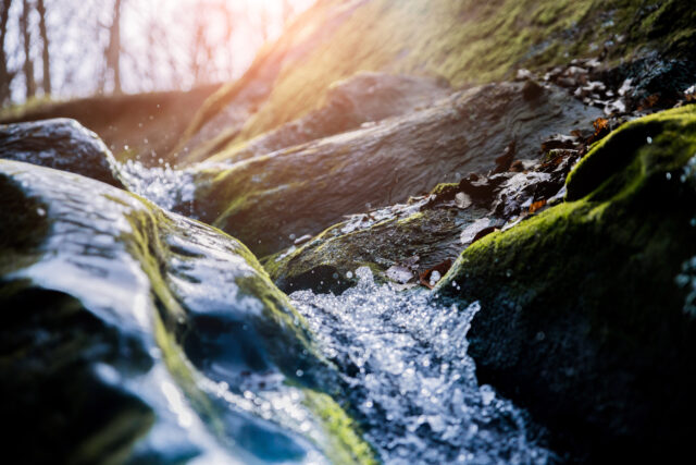 lifelight_wasser_main