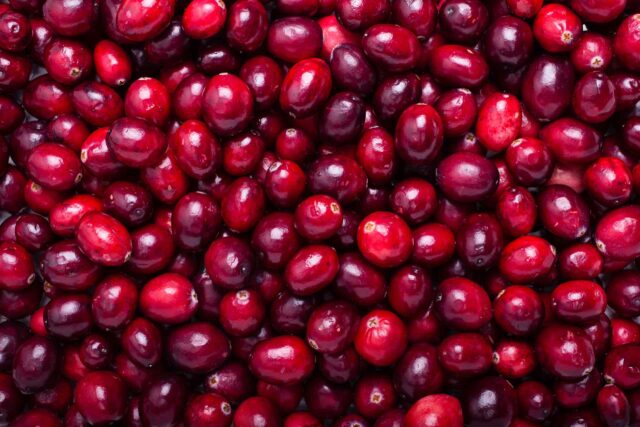 Nahaufnahme einer großen Menge frischer, glänzender roter Cranberrys.