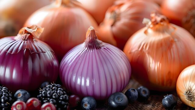 rote und weiße Zwiebel mit Brombeeren und Heidelbeeren