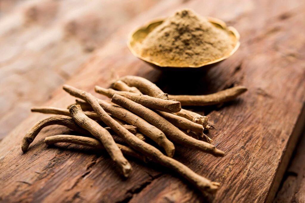 Darstellung der Ashwagandha-Pflanze oder deren Wurzel, oft genutzt in der ayurvedischen Lehre.