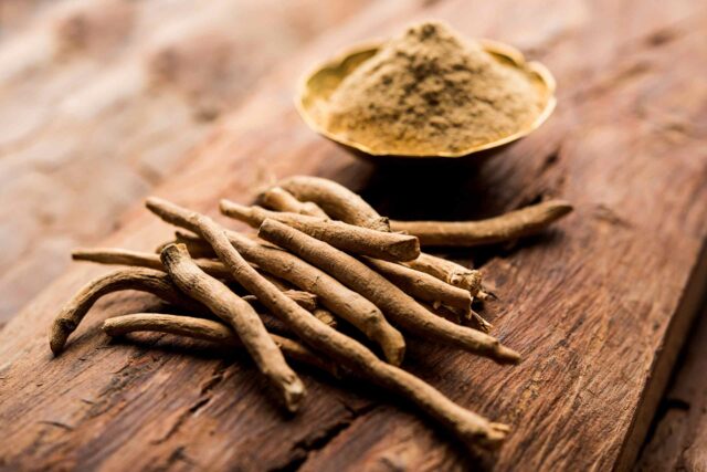 Darstellung der Ashwagandha-Pflanze oder deren Wurzel, oft genutzt in der ayurvedischen Lehre.