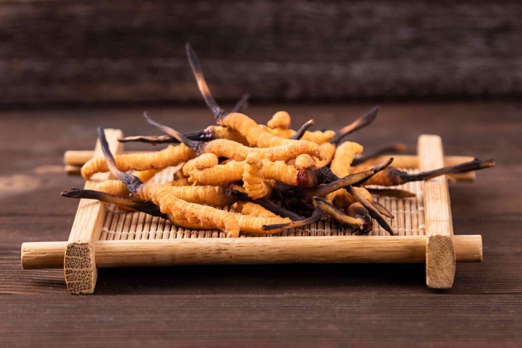 Eine Handvoll getrockneter, orange-brauner Cordyceps-Fruchtkörper liegt auf einem kleinen Bambustablett.