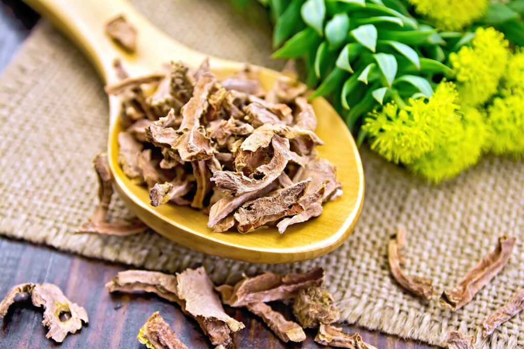 Getrocknete, zerkleinerte Rosenwurz-Wurzelstücke (Rhodiola rosea) auf einem Holzlöffel, im Hintergrund die grüne Pflanze mit gelben Blüten.