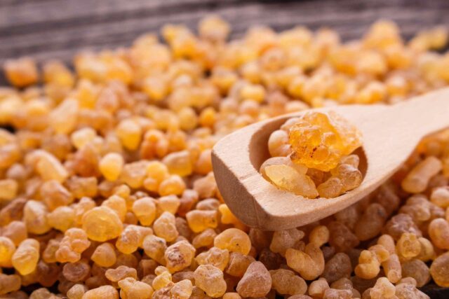 Eine große Menge goldgelber, harziger Weihrauch-Tränen auf einer Holzoberfläche, mit einigen Stücken auf einem kleinen Holzschaufel-Löffel.